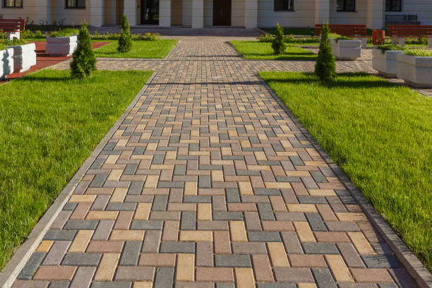 Reasons to Select Us for Your Driveway Paving Requirements in Dayton, NV